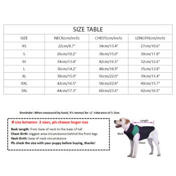 Dog Vest Lakers - 2025 - Puppy Streetwear Shop