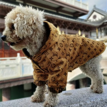 Dog Jacket Louis Pawtton - 2025 - Puppy Streetwear Shop