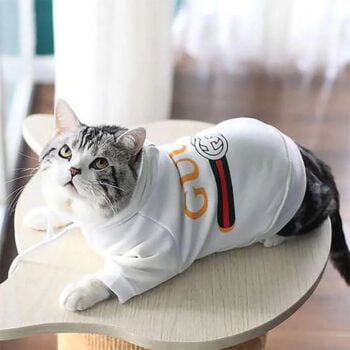 Dog Hoodies Pawcci - 2025 - Puppy Streetwear Shop