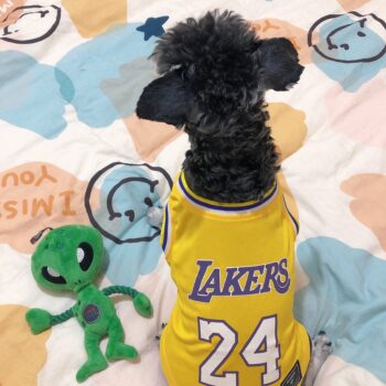 Dog Vest Basketball - 2025 - Puppy Streetwear Shop