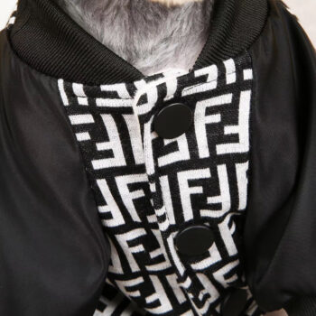 Dog Jacket Fendi - 2025 - Puppy Streetwear Shop