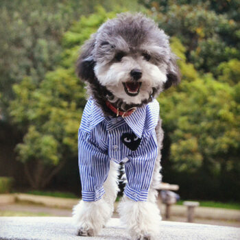 Dog Shirt CDG - 2025 - Puppy Streetwear Shop