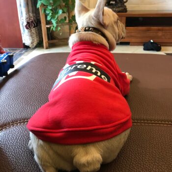 Dog Hoodies Louis Pawtton - 2025 - Puppy Streetwear Shop