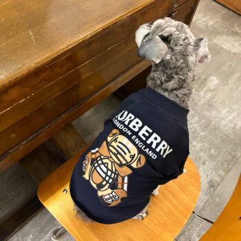 Dog Tshirt Burberry - 2026 - Puppy Streetwear Shop