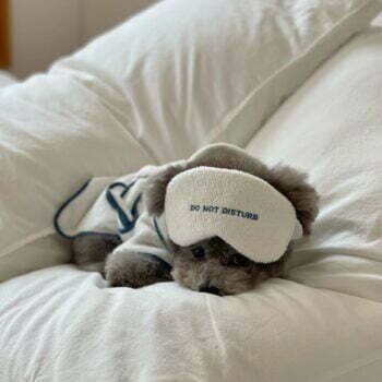 Dog Bathrobe - 2025 - Puppy Streetwear Shop