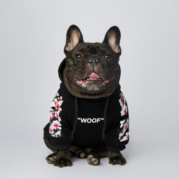 Dog Hoodies Woof - 2025 - Puppy Streetwear Shop