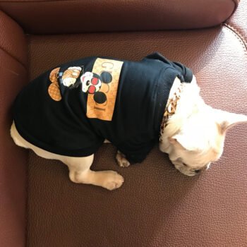 Dog Sweatshirt Pawcci - 2025 - Puppy Streetwear Shop