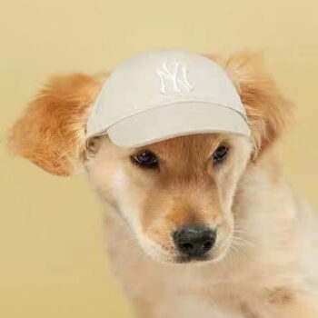 Dog Caps - 2025 - Puppy Streetwear Shop