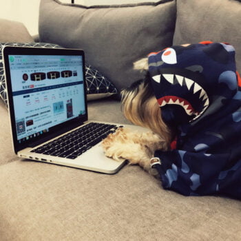 Dog Hoodies Bape - 2025 - Puppy Streetwear Shop