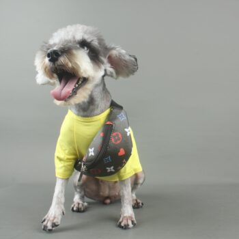 Dog Backpack - 2025 - Puppy Streetwear Shop