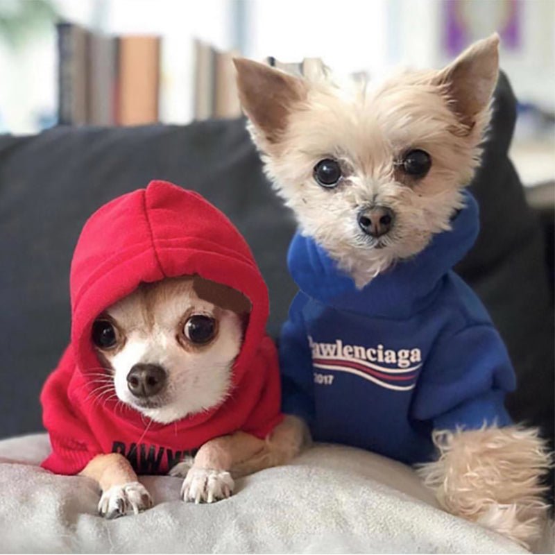 Dog Hoodies Pawlenciaga - 2024 - Puppy Streetwear Shop