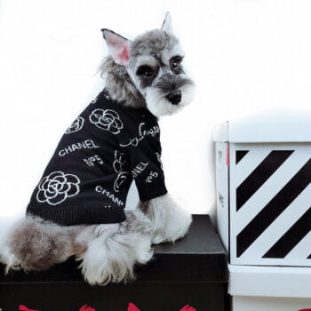 Dog Sweater Chanel - 2025 - Puppy Streetwear Shop