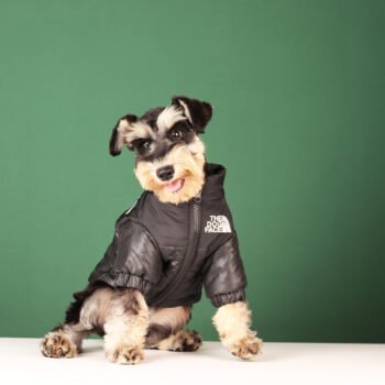 Dog Jacket The North Face - 2026 - Puppy Streetwear Shop