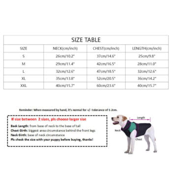 Dog Tshirt Moschino - 2025 - Puppy Streetwear Shop