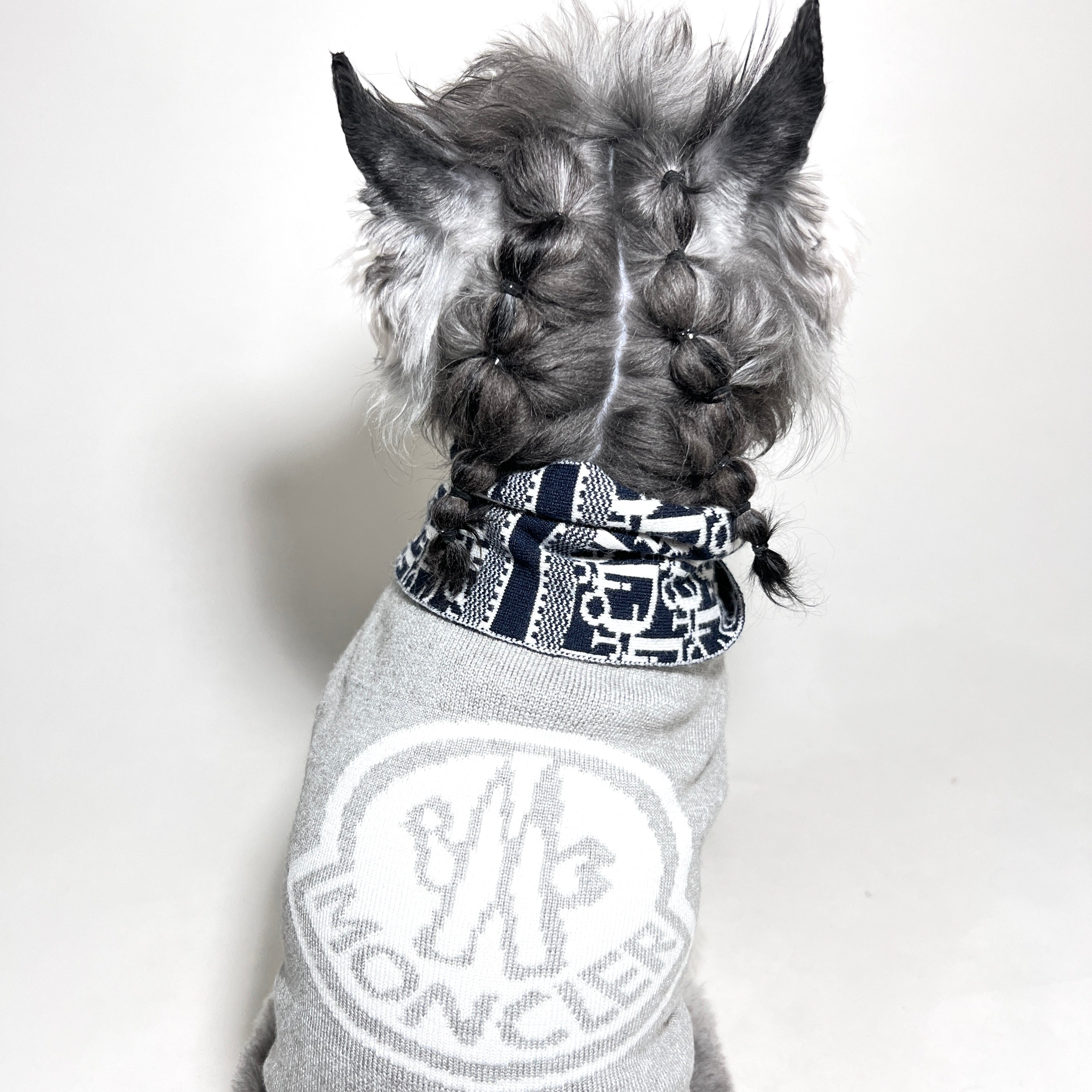 Designer Dog Sweater Moncler - 2023 - Puppy Streetwear Shop