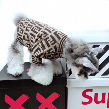 Dog Sweater Fendi - 2025 - Puppy Streetwear Shop