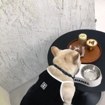 Dog Vest Chanel - 2025 - Puppy Streetwear Shop