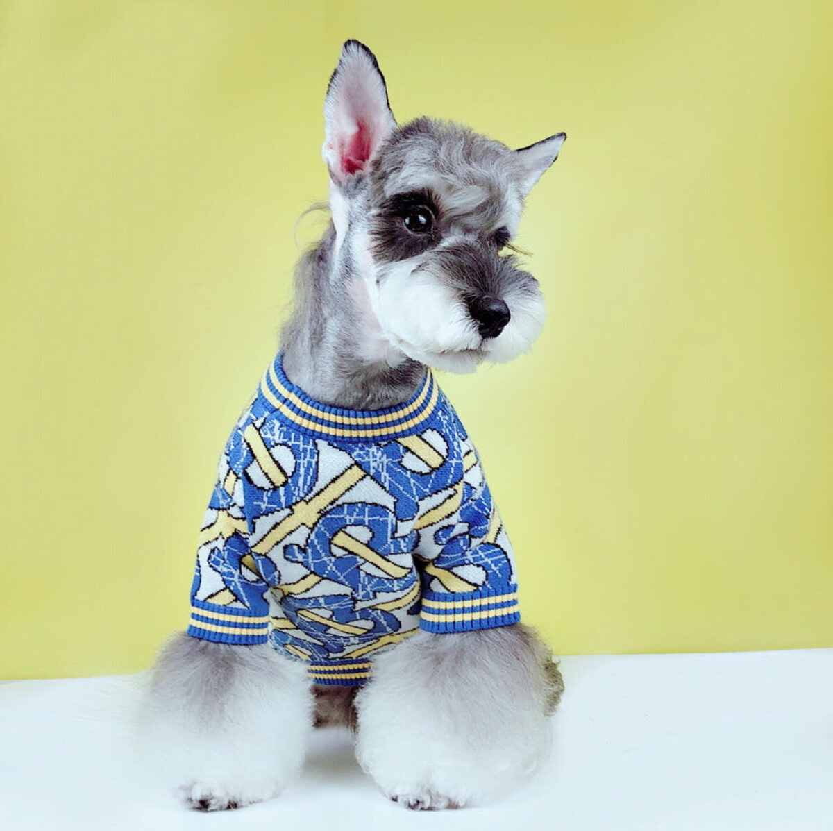 Pamper Your Pup: Shop Luxury Burberry Dog Clothes & Accessories