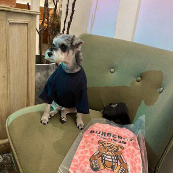 Dog Tshirt Burberry - 2026 - Puppy Streetwear Shop