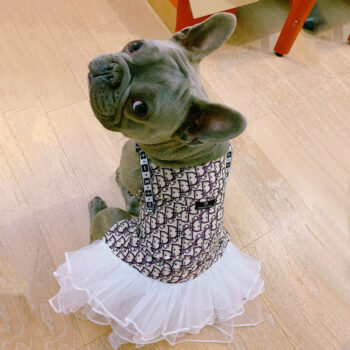 Dog Dress Dior - 2025 - Puppy Streetwear Shop