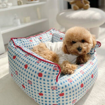 Dog Bed Pawcci - 2025 - Puppy Streetwear Shop Dog Bed Pawcci - 2025 - Puppy Streetwear Shop