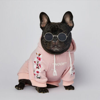 Dog Hoodies Woof - 2025 - Puppy Streetwear Shop