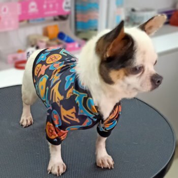 Dog Jacket Louis Pawtton - 2025 - Puppy Streetwear Shop