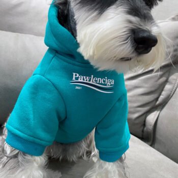 Dog Hoodies Balenciaga - 2026 - Puppy Streetwear Shop