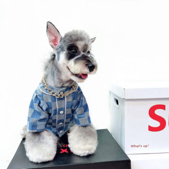 Dog Jacket Badgod - 2025 - Puppy Streetwear Shop