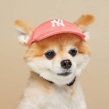 Dog Caps - 2025 - Puppy Streetwear Shop