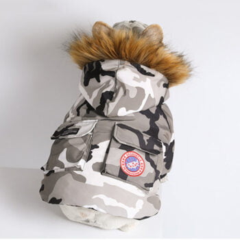 Dog Jacket Canada Goose - 2025 - Puppy Streetwear Shop