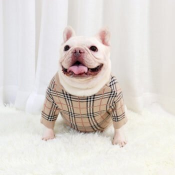 Dog Sweater Burberry - 2025 - Puppy Streetwear Shop