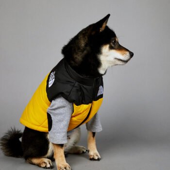 Exclusive Designer Dog Jackets - The North Face Inspired Puppy Apparel - 2025 - Puppy Streetwear Shop