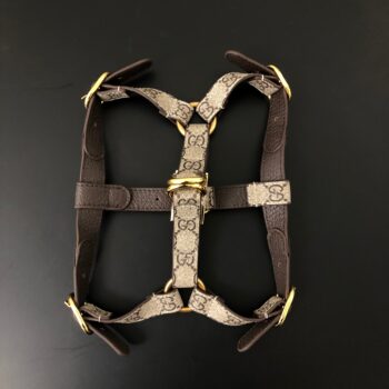 Dog Collar Harness Pawcci - 2026 - Puppy Streetwear Shop