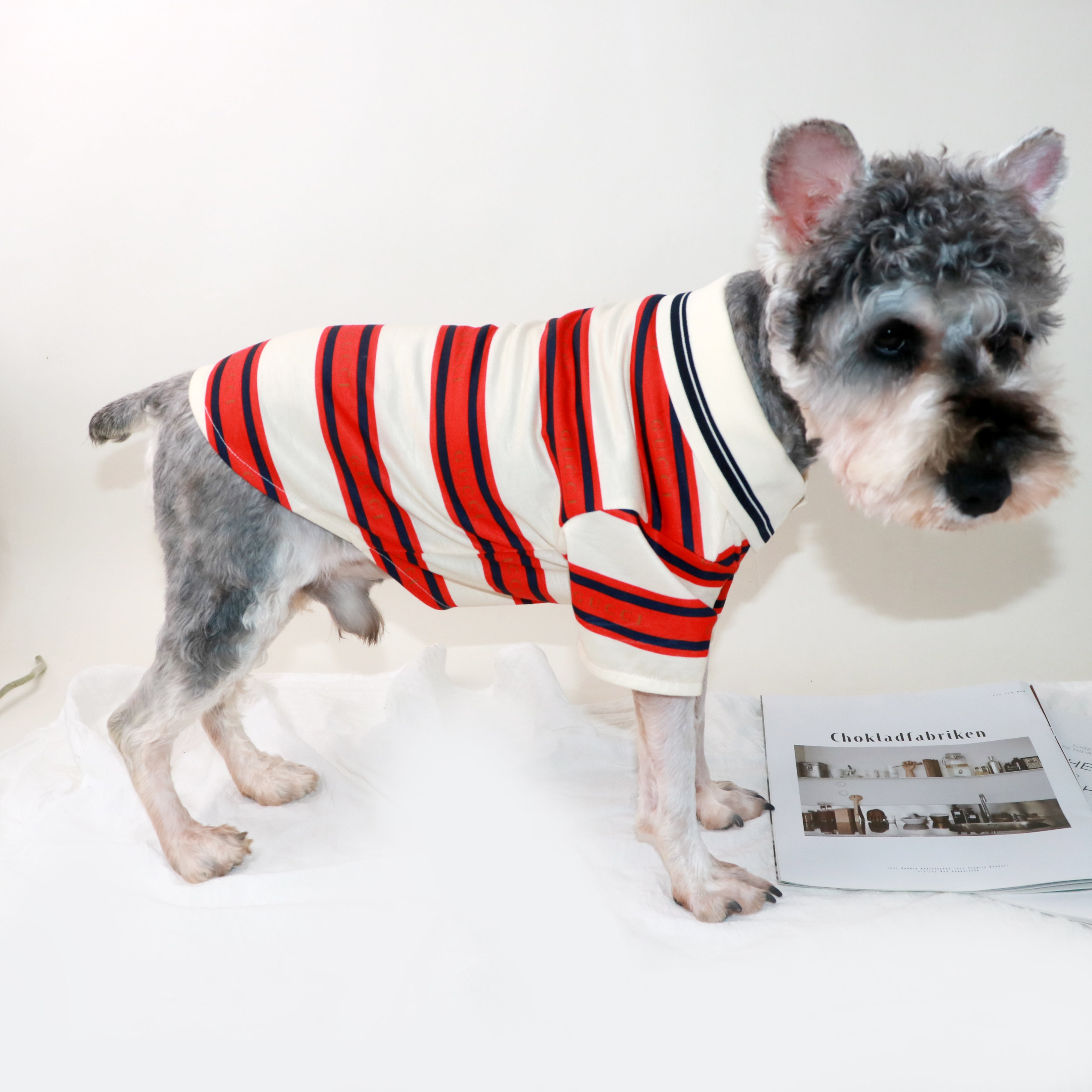 Dog Tshirt Gucci - 2024 - Puppy Streetwear Shop