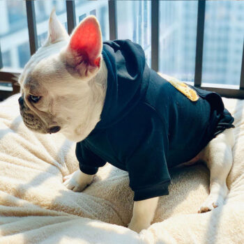 Dog Hoodies Palm Angels - 2025 - Puppy Streetwear Shop