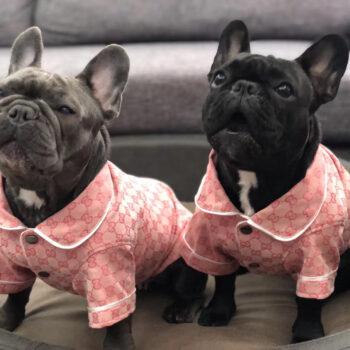 Dog Jacket Pawcci - 2025 - Puppy Streetwear Shop