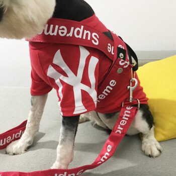 Dog Collar Harness Supreme - 2025 - Puppy Streetwear Shop Dog Collar Harness Supreme - 2025 - Puppy Streetwear Shop