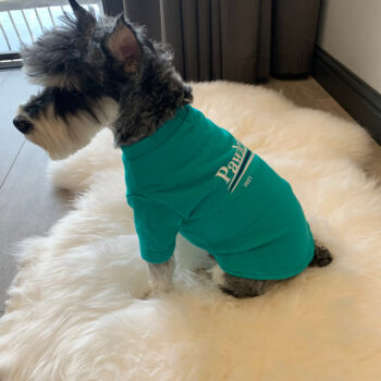 Dog Tshirt Balenciaga - 2026 - Puppy Streetwear Shop