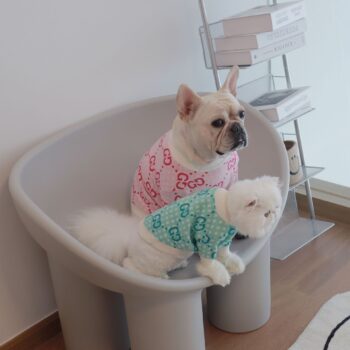 Dog Sweater Pawcci - 2026 - Puppy Streetwear Shop