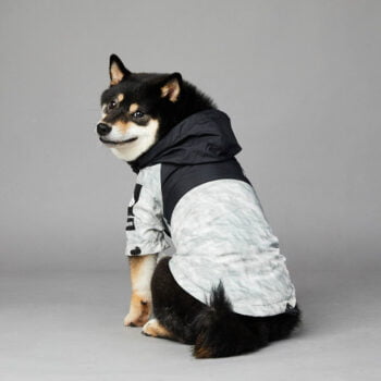 Dog Hoodies The North Face - 2026 - Puppy Streetwear Shop