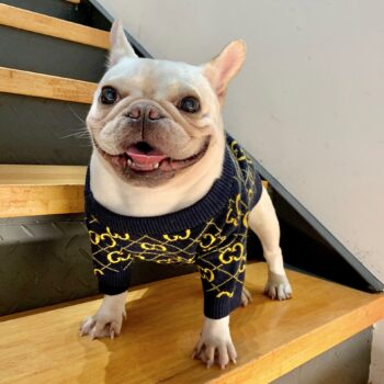 Dog Sweater Pawcci - 2026 - Puppy Streetwear Shop
