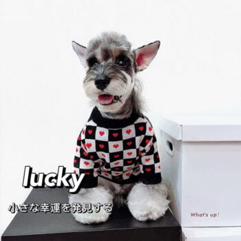 Dog Sweater Dior - 2026 - Puppy Streetwear Shop