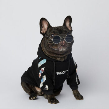 Dog Hoodies Woof - 2025 - Puppy Streetwear Shop