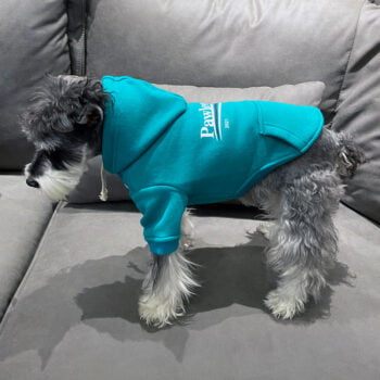 Dog Hoodies Balenciaga - 2026 - Puppy Streetwear Shop