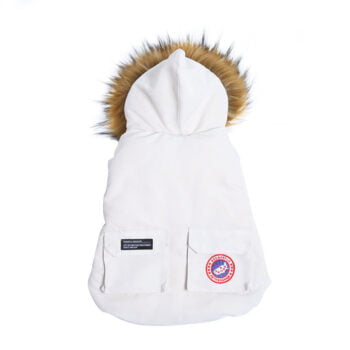 Dog Jacket Canada Goose - 2025 - Puppy Streetwear Shop