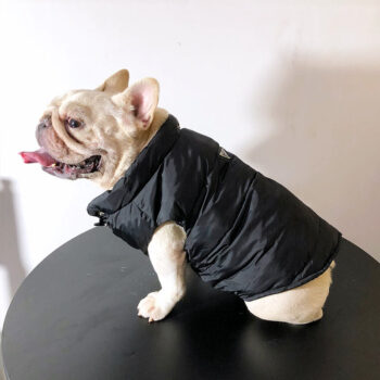 Dog Jacket Prada - 2025 - Puppy Streetwear Shop