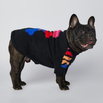 Dog Sweater WOOF - 2026 - Puppy Streetwear Shop