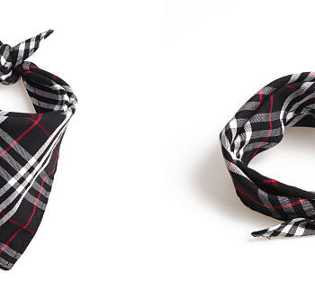 Dog Bandana Burberry - 2025 - Puppy Streetwear Shop Dog Bandana Burberry - 2025 - Puppy Streetwear Shop