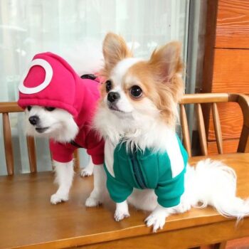Dog Jacket Squid Game - 2025 - Puppy Streetwear Shop